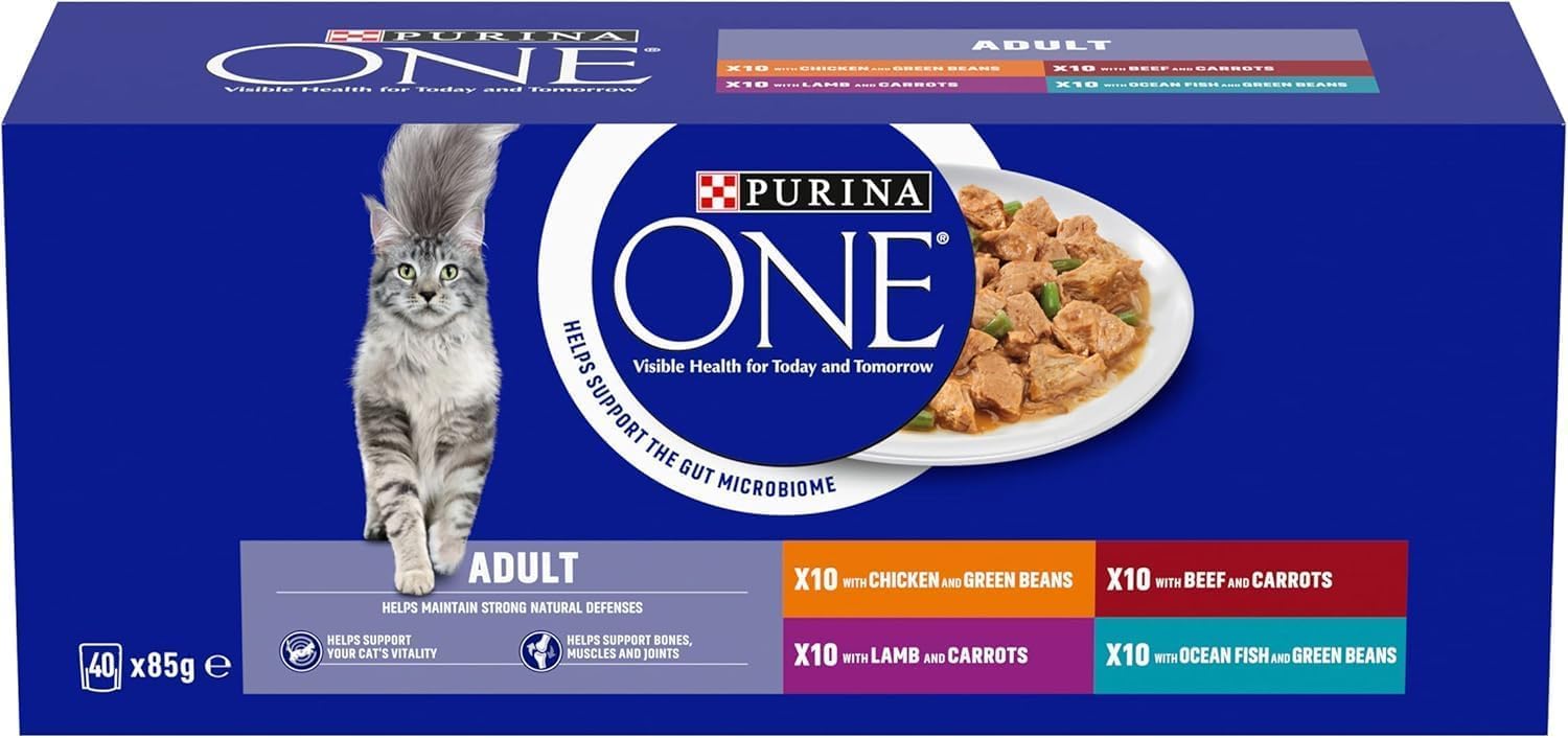 PURINA ONE Adult Cat Food Mini Fillets in Sauce 40 x 85g